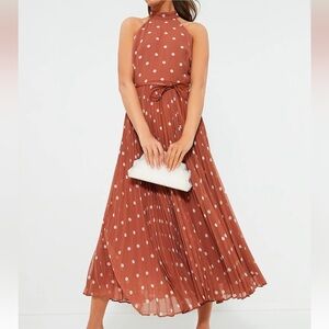 Zimmermann Sunray Picnic Pleated Chiffon Midi Dress